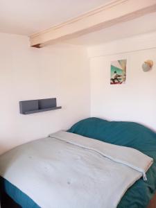 ein Schlafzimmer mit einem Bett mit einer grünen Decke in der Unterkunft Chez Sophie in Trouville-sur-Mer