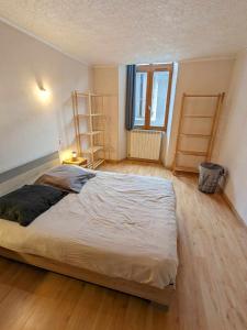 1 dormitorio con 1 cama grande y suelo de madera en Maison individuelle au cœur de Millau, en Millau