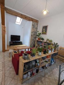 米洛的住宿－Maison individuelle au cœur de Millau，木架上放有盆栽的植物的房间
