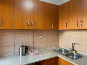 a kitchen with a sink and wooden cabinets at Brami Apartment in Berat