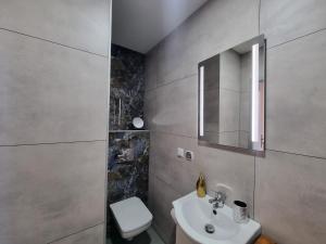 a bathroom with a sink and a toilet and a mirror at Villa Międzyzdroje in Międzyzdroje