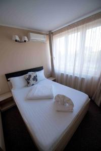 Gallery image of Pensiunea Sangria Blue in Arad