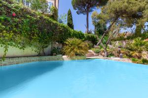 拉加尔德Logement de charme les Araucarias的一座种植了树木和植物的大型蓝色游泳池