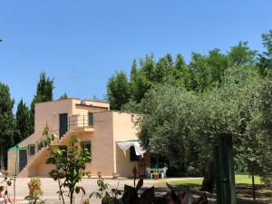 uma casa com uma árvore em frente em Adamasseria Case Vacanza em Collecorvino