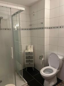 een badkamer met een toilet en een glazen douche bij Bellevue L 031 - PLEASANT apartment 6 pers in Veysonnaz