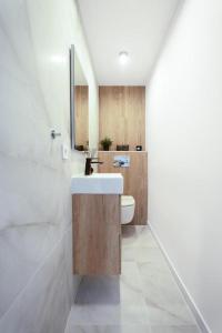 La salle de bains est pourvue d'un lavabo et de toilettes. dans l'établissement Princesa Blanka by ZANIS, à Torrevieja