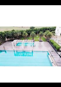 uma grande piscina com palmeiras ao fundo em The Grand View Studio em Vrindāvan