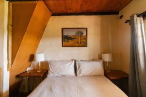 a bedroom with a bed with two tables and two lamps at Rivertime in Malgas