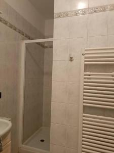 塞里亞泰的住宿－Appartamento Aeroporto e Fiera，浴室里设有玻璃门淋浴