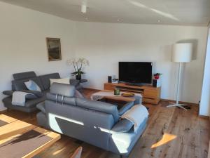 uma sala de estar com um sofá e uma televisão em Thomas's Loft em Stühlingen