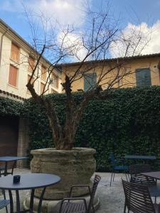 a tree in a stone planter with tables and chairs at Casa Gugù in Ravenna