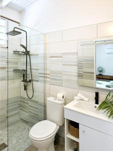 een badkamer met een douche, een toilet en een wastafel bij Grande Villa de standing vue mer, piscine 3ilets in Les Trois-Îlets