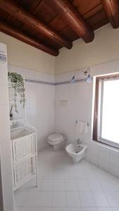 een witte badkamer met een toilet en een wastafel bij Corte primavera. Custoza, lago di Garda, Verona in Villafranca di Verona