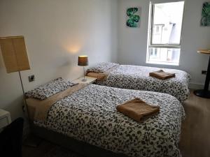 a bedroom with two beds and a lamp and a window at Home in Blackrock Dublin in Dublin