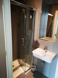 a bathroom with a shower and a sink at Home in Blackrock Dublin in Dublin