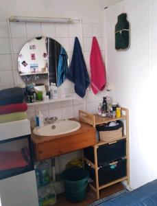 ein Bad mit einem Waschbecken und einem Spiegel in der Unterkunft Ana habitación privada in Antwerpen