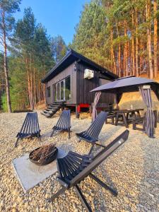 a group of lounge chairs and a cabin at Nomad Lake Cabins in Rugineşti