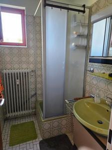 uma casa de banho com um lavatório verde e um chuveiro em Ferienwohnung Maria 5 em Haundorf
