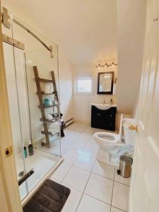 uma casa de banho com um WC e uma cabina de duche em vidro. em Light House Apartment em Brackley Beach