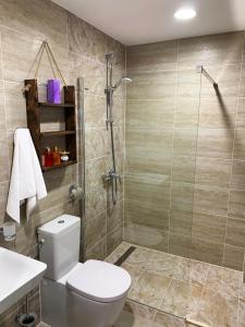 een badkamer met een douche, een toilet en een wastafel bij Tiarra Mountain Lodge in Beliş