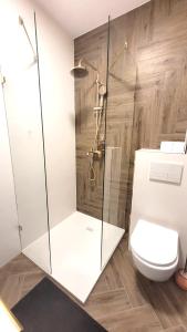 een badkamer met een douche en een toilet bij APARTAMENT JARACZA 28/17 in Słupsk
