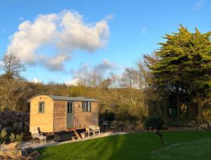 a tiny house in the middle of a yard at Lower Crankan Farm in Penzance