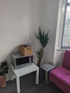 a living room with a microwave and a palm tree at Tottenham Stadium Rooms 1 in London