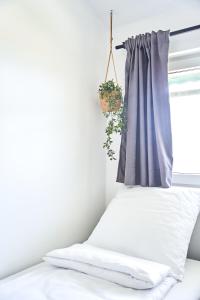 a bedroom with a bed and a window with a plant at Hostel L44 in Nowy Targ