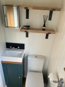 a small bathroom with a sink and a toilet at Lower Crankan Farm in Penzance