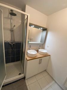 uma casa de banho com 2 lavatórios e um chuveiro em Superbe Appartement centre Sautron em Sautron