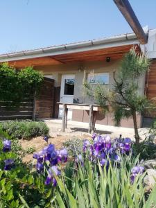 um jardim com flores roxas em frente a uma casa em Lazy Days em Debrecen