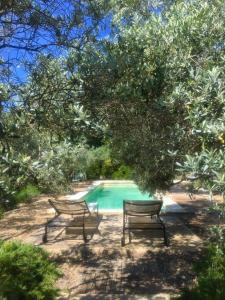 two benches sitting under a tree near a swimming pool at La Matina Family Haven with Olive Garden Oasis in Lauris