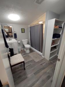 a bathroom with a toilet and a sink and a shower at Make Yourself at Home in Austin