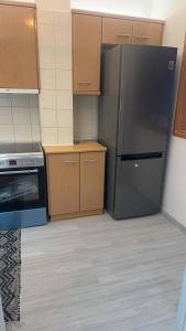 a kitchen with a stainless steel refrigerator and wooden cabinets at Maria's luxury apartment in Athens