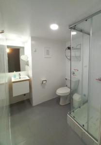 W łazience znajduje się toaleta i przeszklony prysznic. w obiekcie Lodge Andes w mieście Farellones
