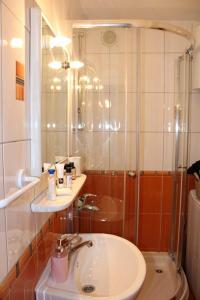 uma casa de banho com uma cabina de duche em vidro e um lavatório. em Cozy apartment Ladybug, Sarajevo em Sarajevo