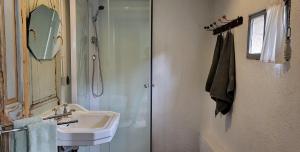 a bathroom with a sink and a shower at Petit a Petit - gypsy wagons and Bell tents in the Bourgogne in Saisy