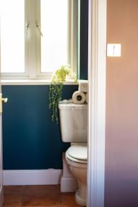 a bathroom with a toilet with a window and a plant at The Galway Rooms in Galway