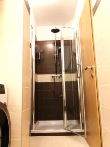 W łazience znajduje się prysznic ze szklanymi drzwiami. w obiekcie La Harmony Jacuzzi Apartments with Garden w Splicie