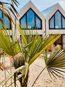 a house on the beach with a palm tree at Lulu Holiday Resort in Mielno
