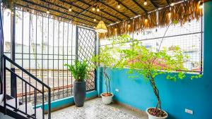 Hanoi Ben's Apartment and Hotel في هانوي: شرفة مع نباتات الفخار على الجدار الأزرق