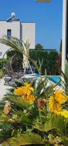 a garden with yellow flowers in front of a pool at Vila 29 Valamar in Durrës