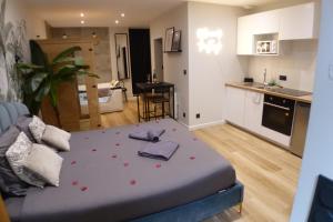 Η κουζίνα ή μικρή κουζίνα στο Appartement balnéothérapie et sauna hyper centre