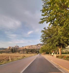eine leere Straße mit Bäumen am Straßenrand in der Unterkunft Casa vacanze Perfecta Laetitia Assisi in Tordandrea