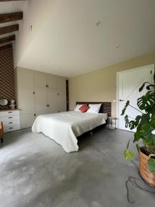 een slaapkamer met een groot wit bed en een plant bij De Loeghoeve in Anderen