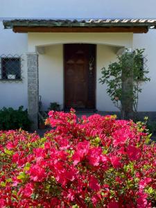 Zahrada ubytování Le Bricolle