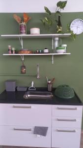 a kitchen counter with a sink and shelves with plants at Aconchego Boa Viagem in Recife