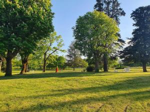 einen Park mit Bäumen und einem Grasfeld in der Unterkunft Le Pigeonnier in Flaujac-Poujols