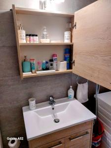 uma casa de banho com um lavatório e prateleiras com produtos de higiene pessoal em Jimmy’s Beautiful Sparta Home em Sparti