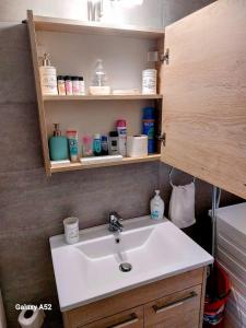 a bathroom with a sink and shelves with toiletries at Jimmy’s Beautiful Sparta Home in Sparta